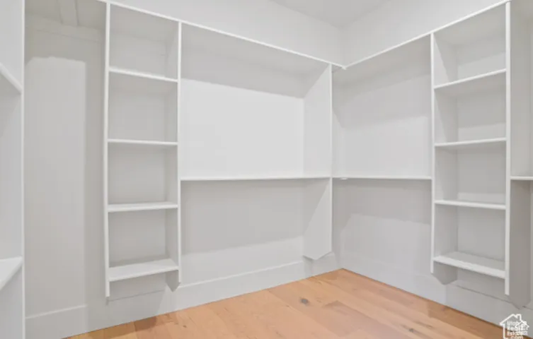Spacious closet featuring wood-type flooring