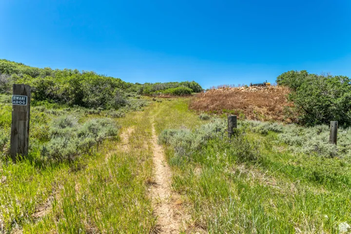 View of local wilderness featuring a rural view