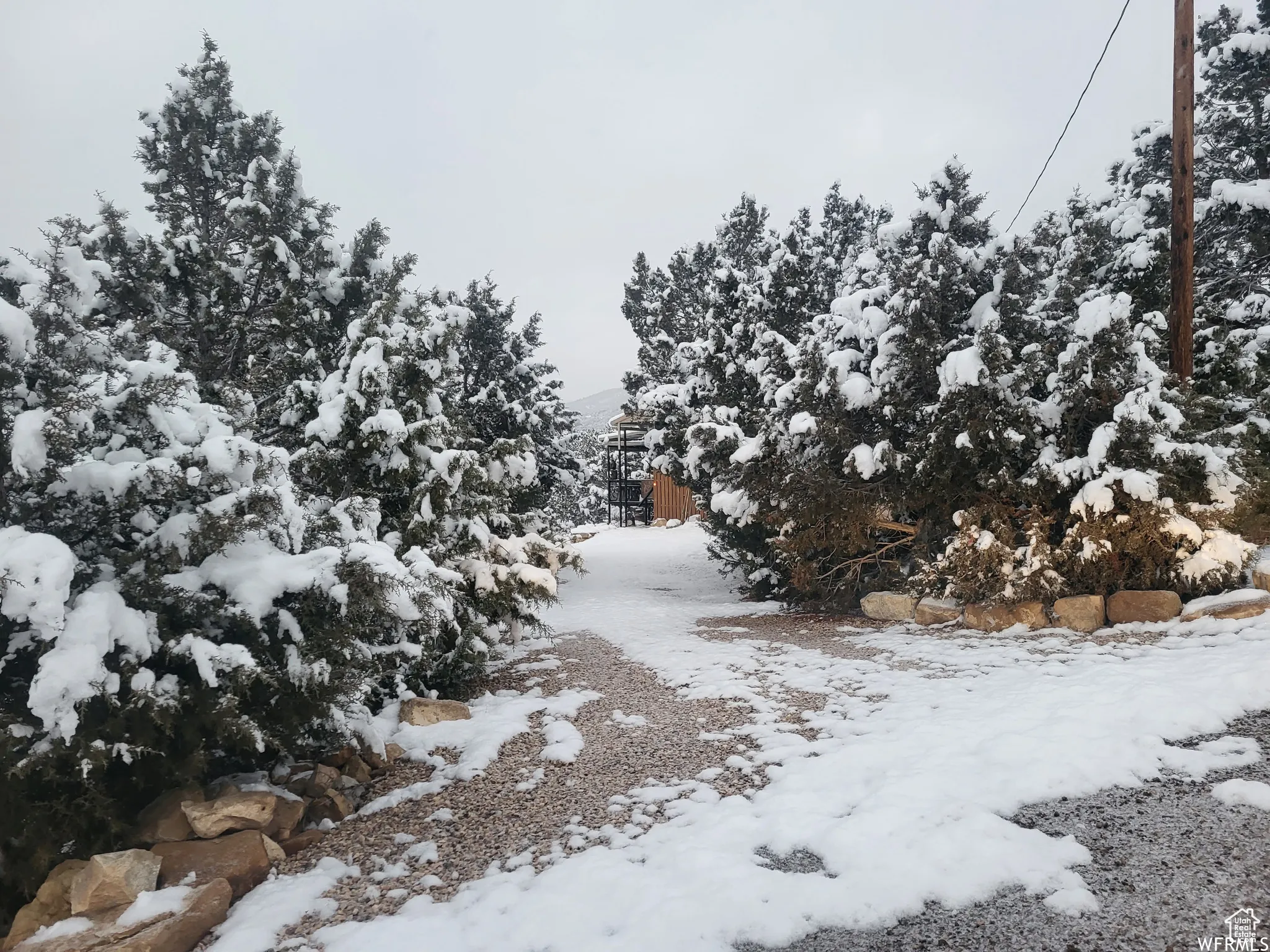 View of snowy view