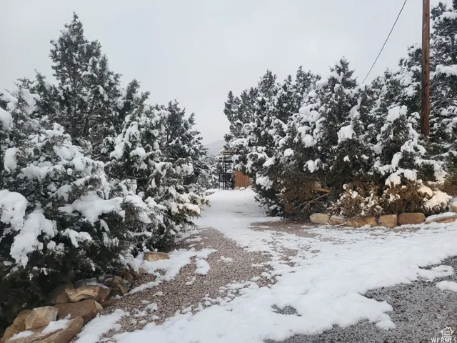 View of snowy view