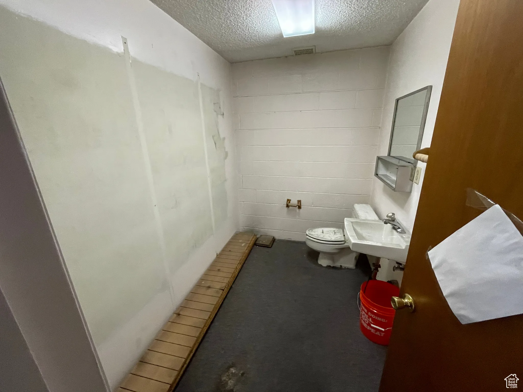 Bathroom with toilet, sink, and a textured ceiling