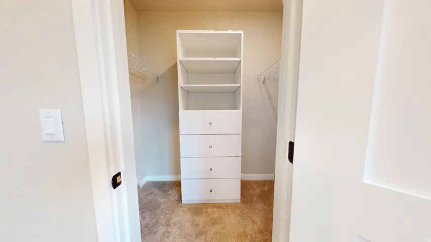Walk in closet with light colored carpet