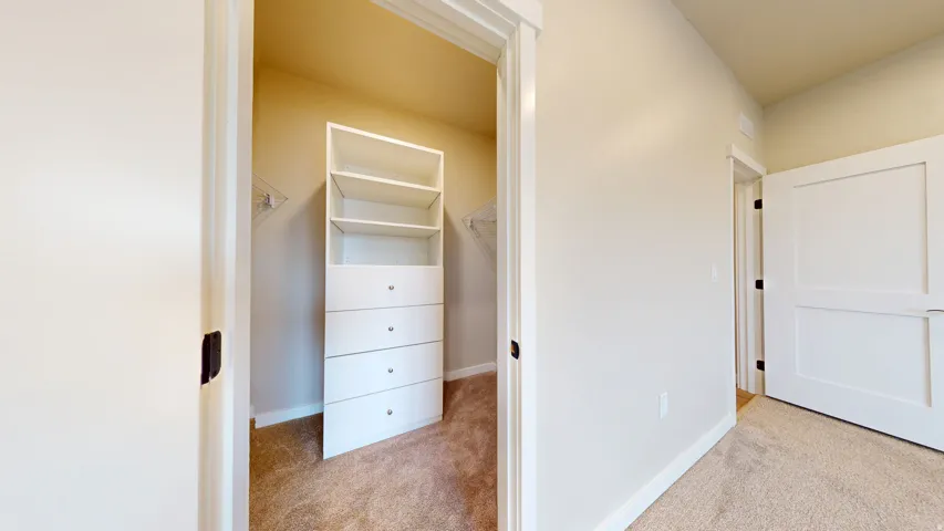 Walk in closet with light colored carpet