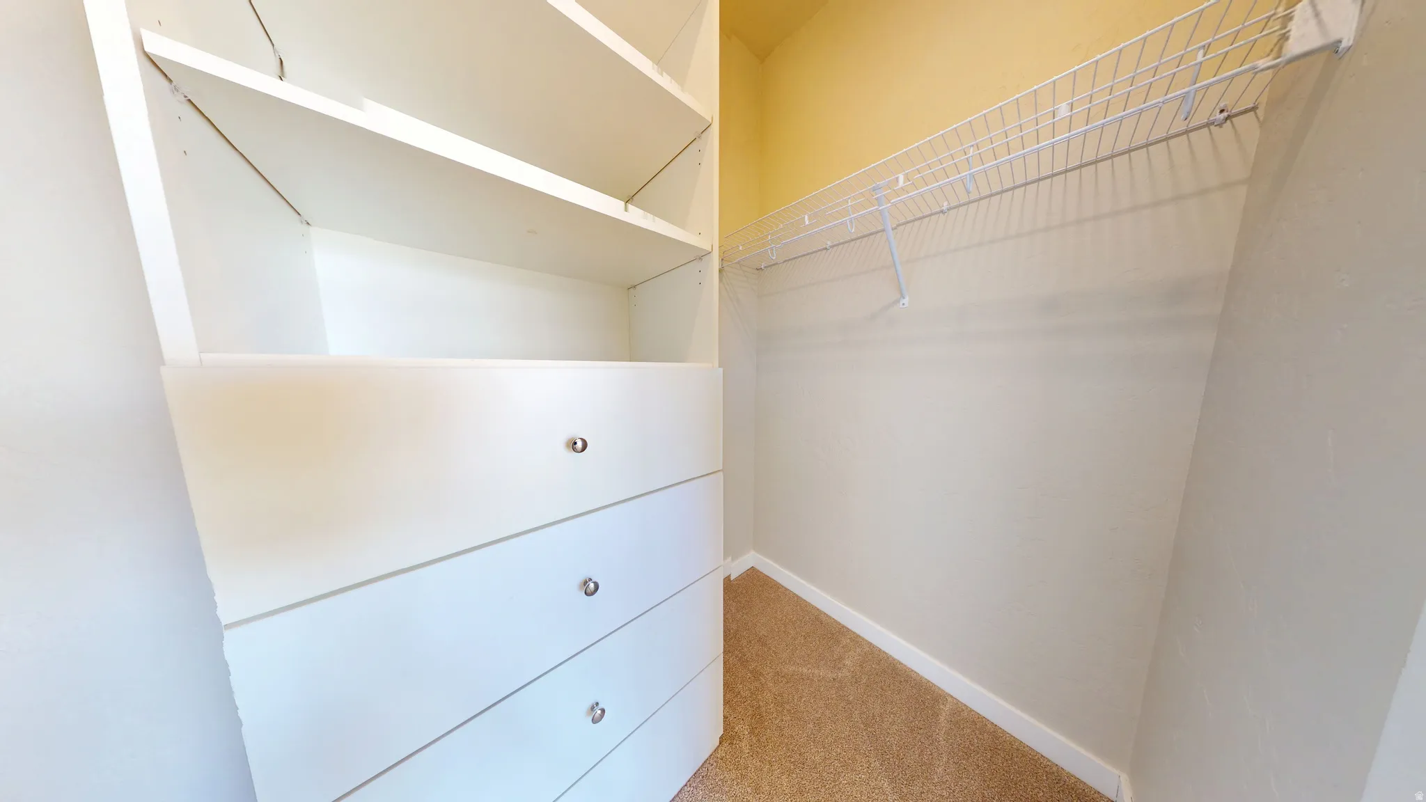 Spacious closet featuring light colored carpet