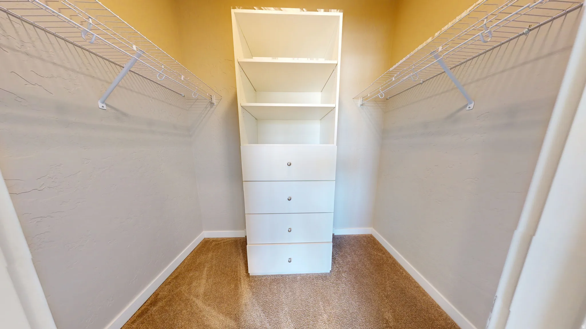 Spacious closet with light carpet