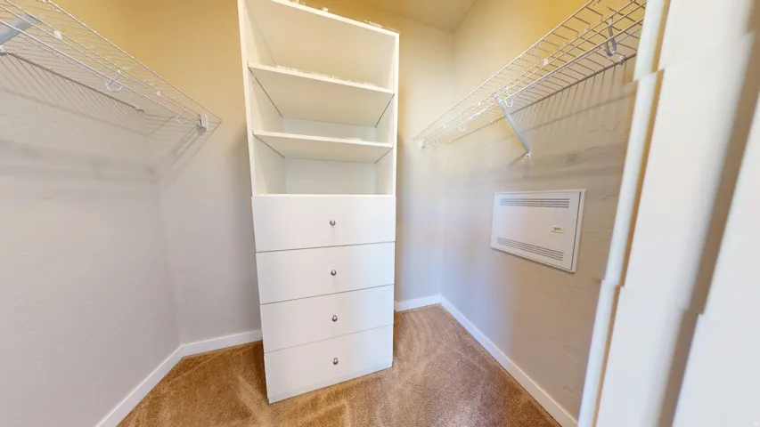Walk in closet featuring light carpet