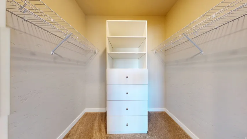 Spacious closet featuring carpet flooring