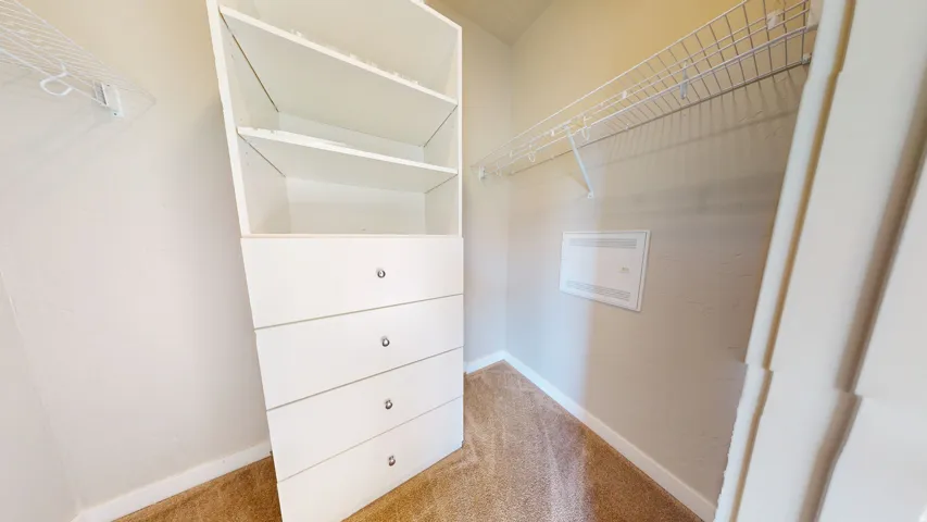 Walk in closet featuring light carpet