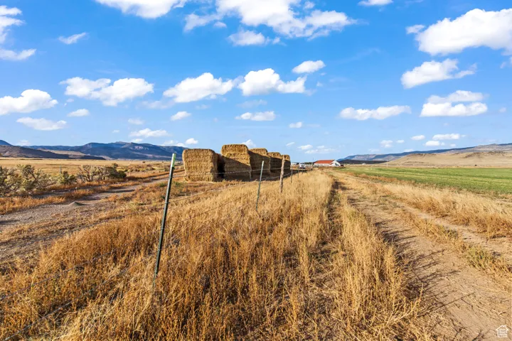 View of yard featuring a mountain view and a rural view