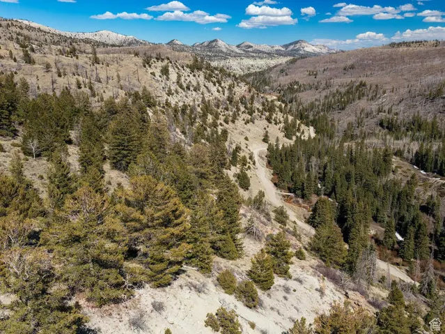 View of mountain backdrop with a heavily wooded area