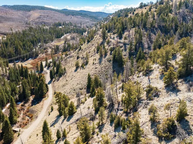 Aerial view of property's location with a mountain backdrop and a forest