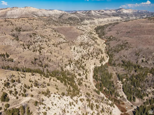 View of mountain background
