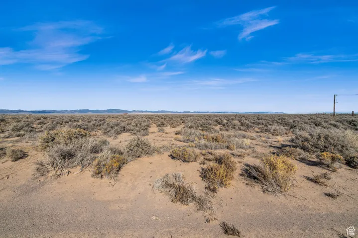 View of local wilderness