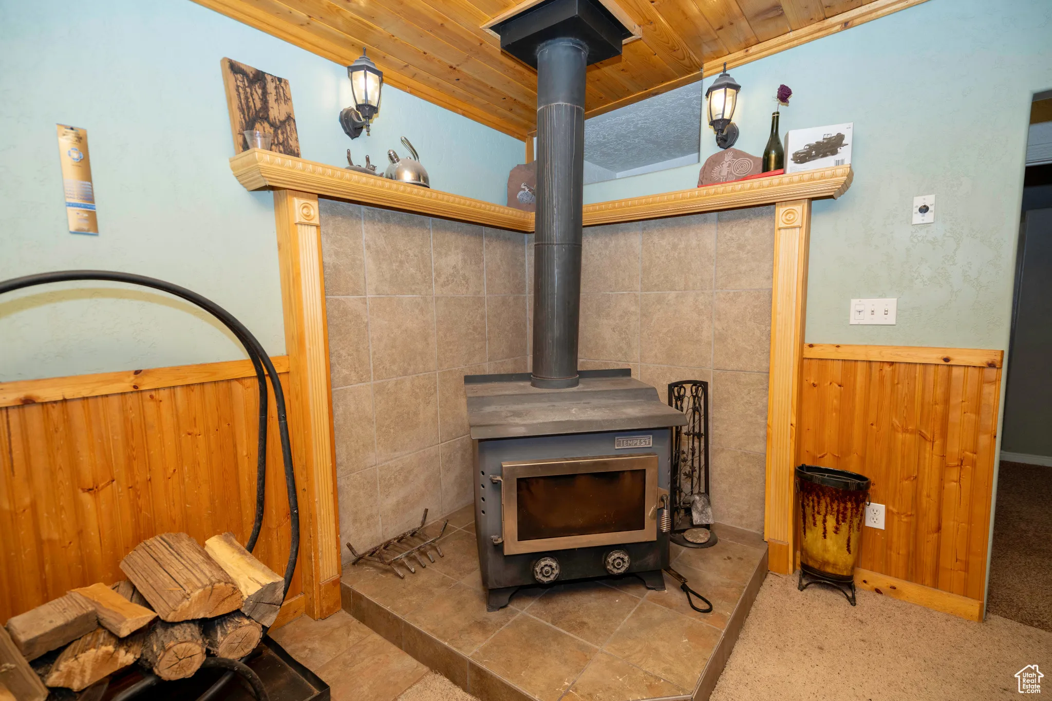Room details with wood walls and a wood stove
