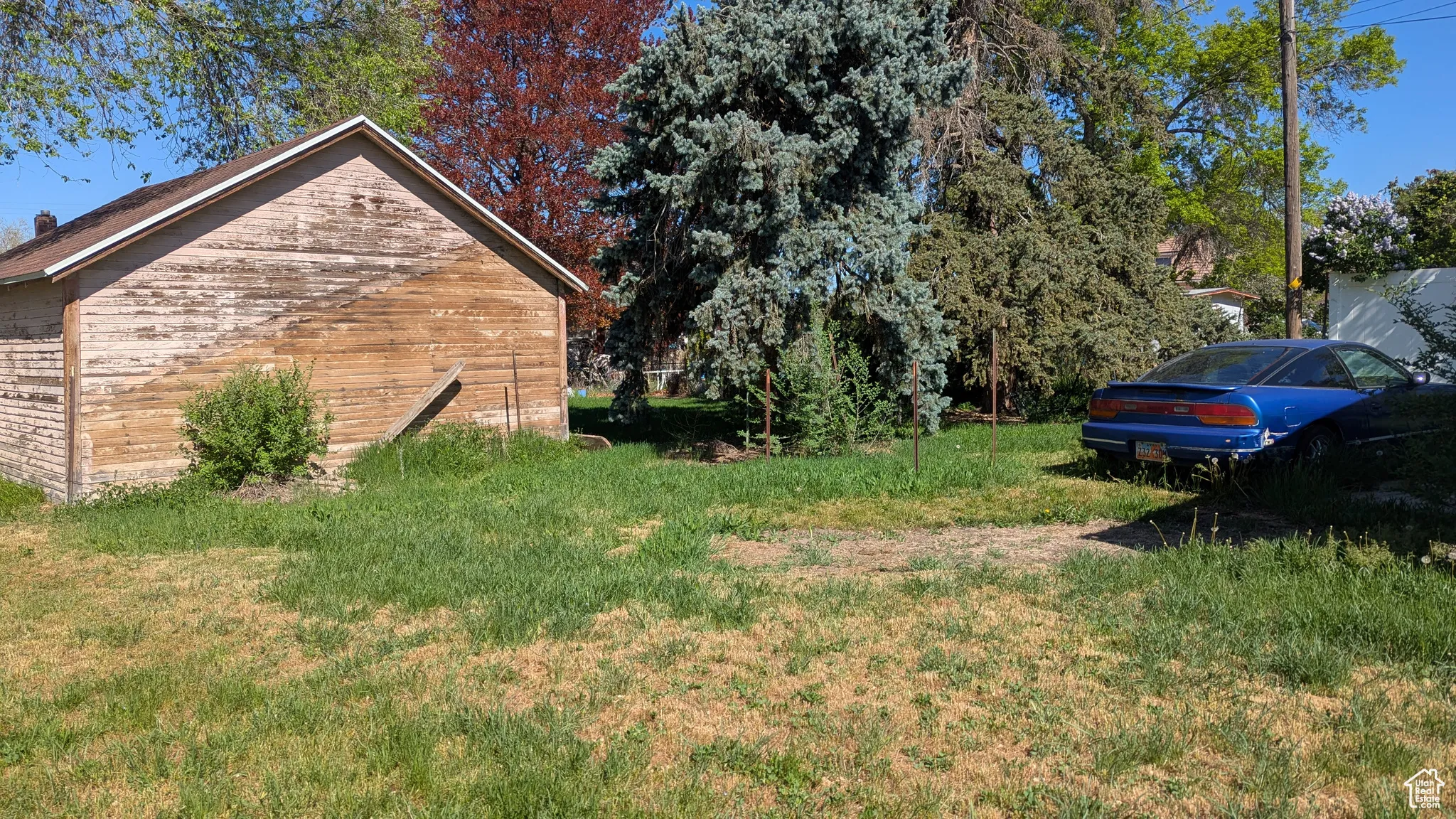 3767 South Backyard