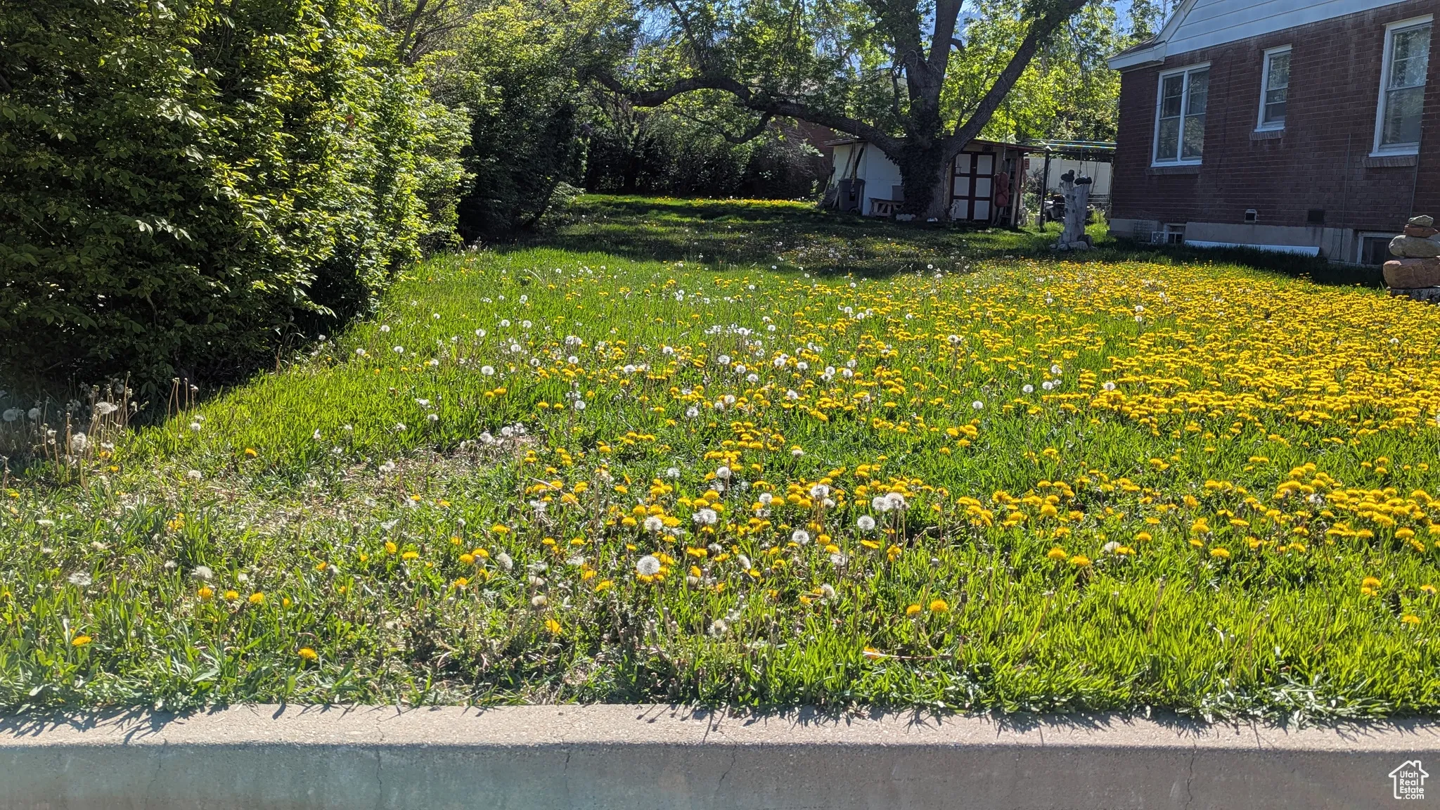 3757 South - Front Side Yard