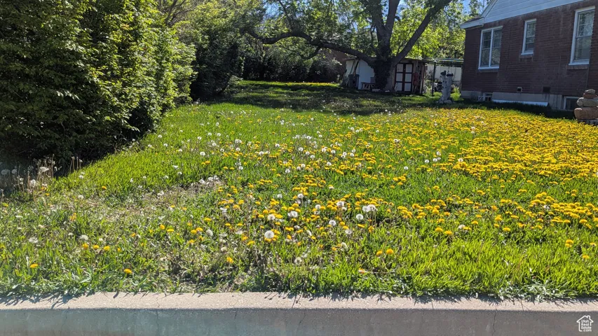 3757 South - Front Side Yard