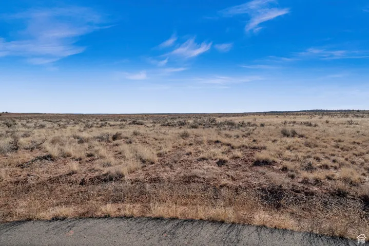 View of local wilderness featuring a rural view