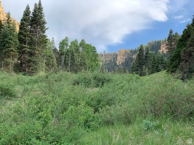 View of nature