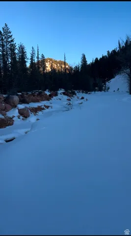 View of yard layered in snow