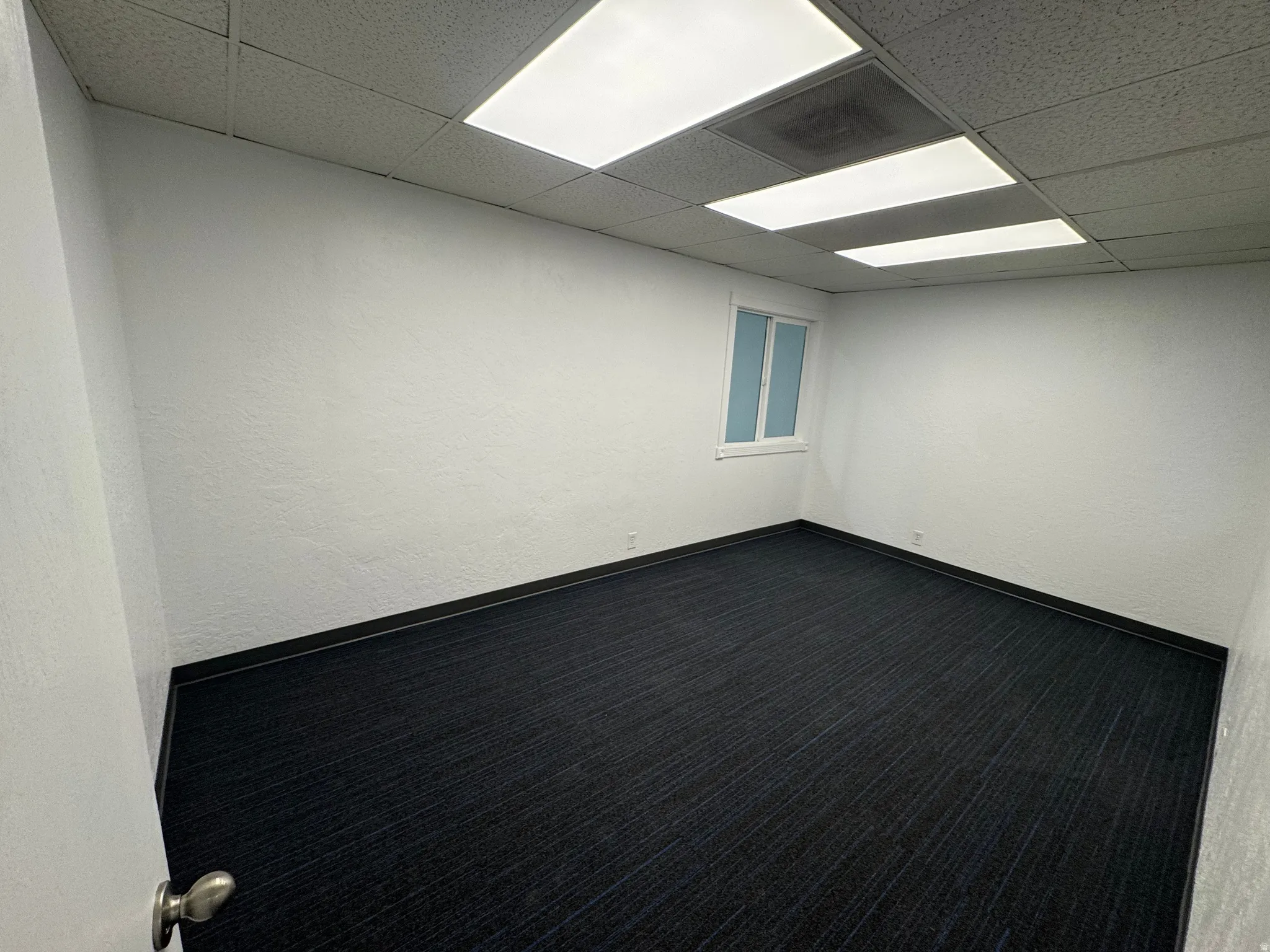 Carpeted empty room with a drop ceiling and a textured wall