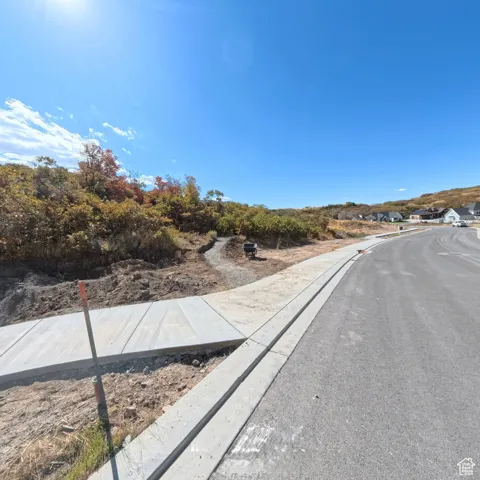 View of road with sidewalks, curbs, and view of scattered trees