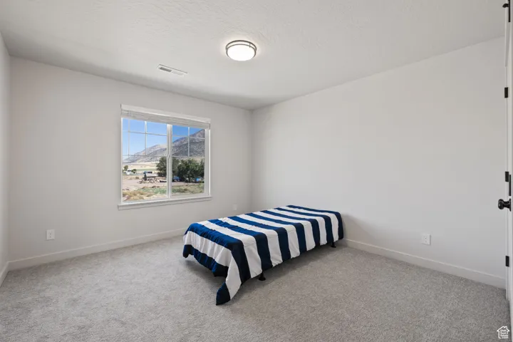 119 W 1360 N, Nephi, Utah 84648