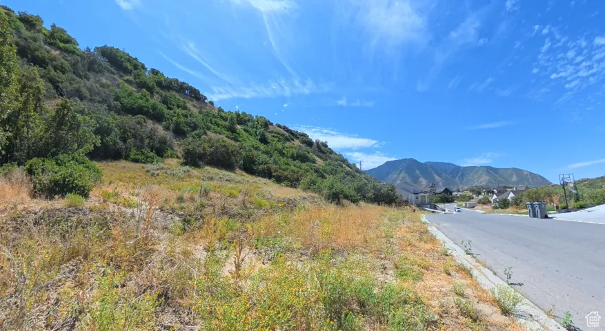 View of mountain background