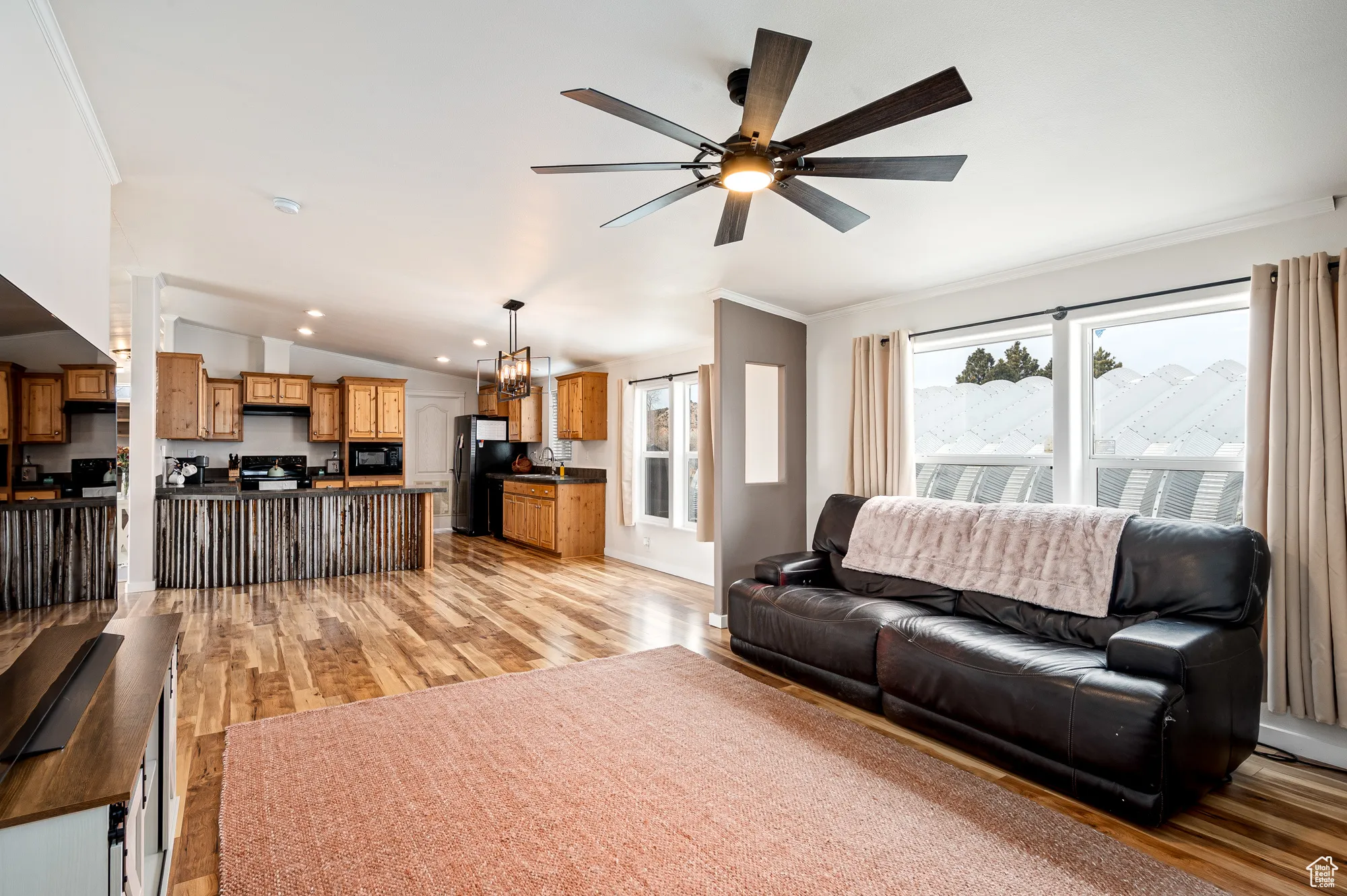 Living room/Kitchen