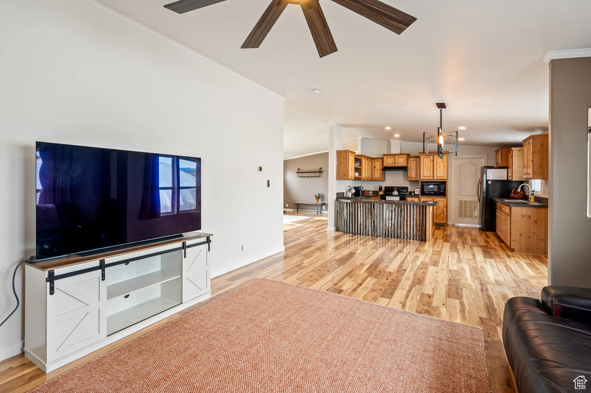 Living room/Kitchen