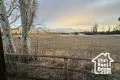 View of yard at dusk