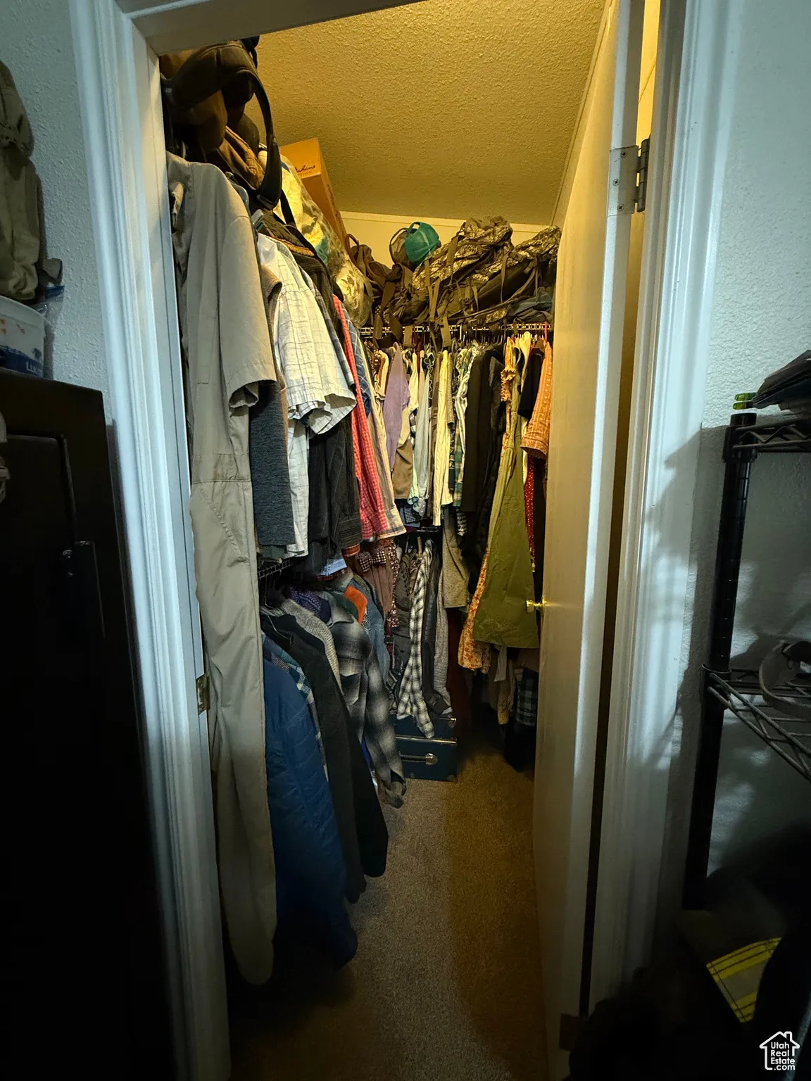 Walk in closet featuring carpet flooring