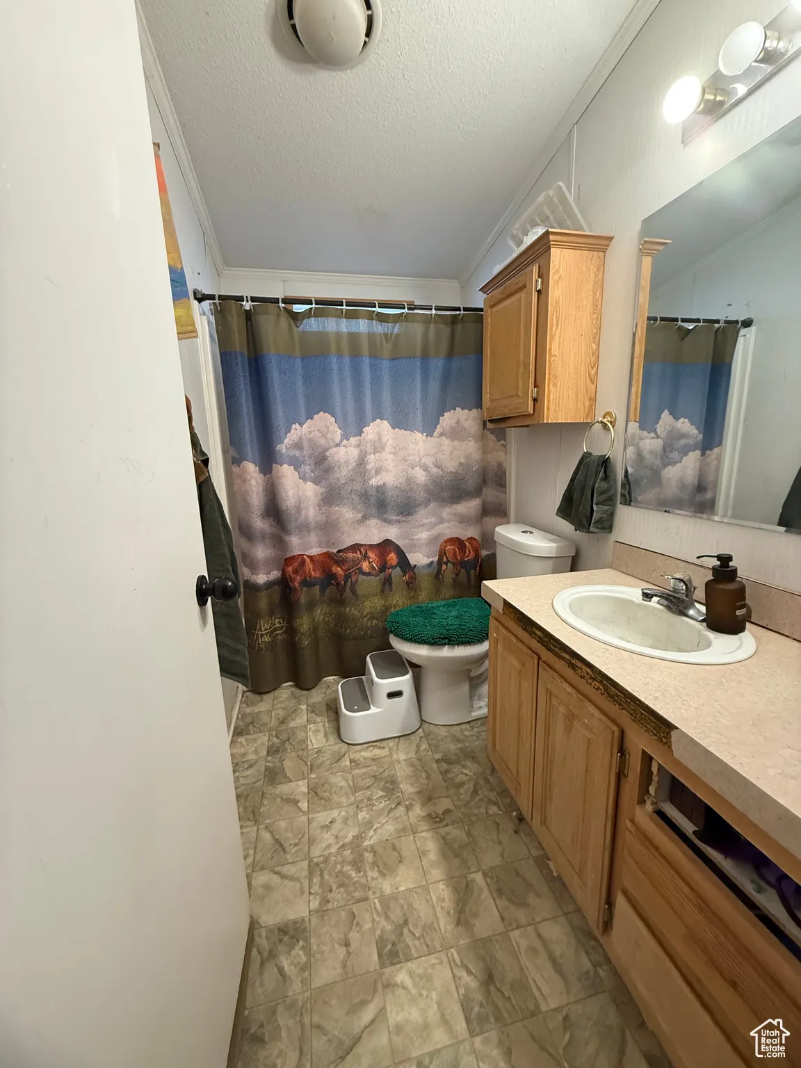 Bathroom with ornamental molding, toilet, a textured ceiling, and vanity