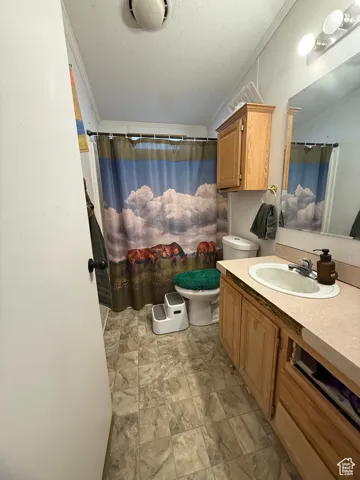 Bathroom with ornamental molding, toilet, a textured ceiling, and vanity