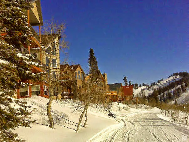 View of slowpoke ski trail and other cabins in neighborhood