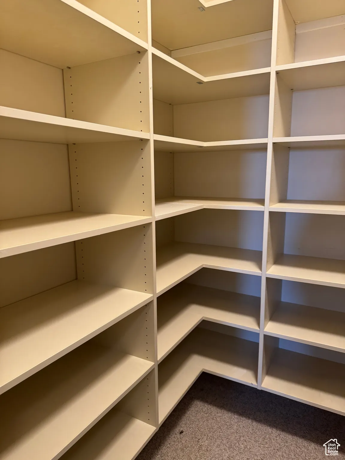 storage room with built in shelving.
