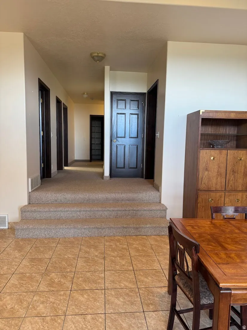 Tile flooring leading to a carpeted split-level entryway