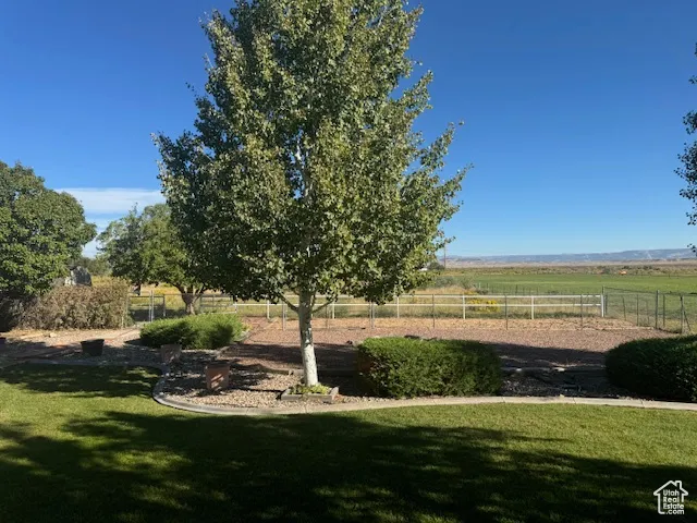 Summer view of garden spot