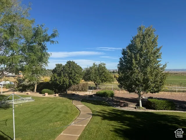Summer view of landscaping in backyard