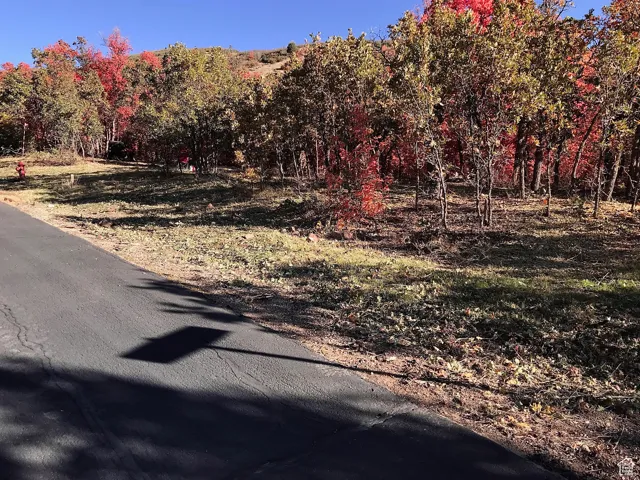 View of road