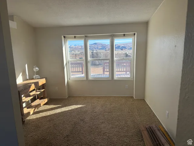 Unfurnished room with a mountain view, carpet, and a textured ceiling