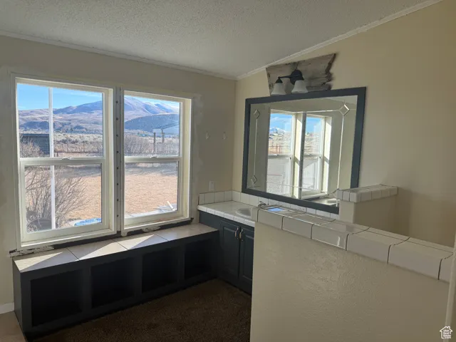 Interior space featuring a healthy amount of sunlight, a mountain view, crown molding, and a textured ceiling