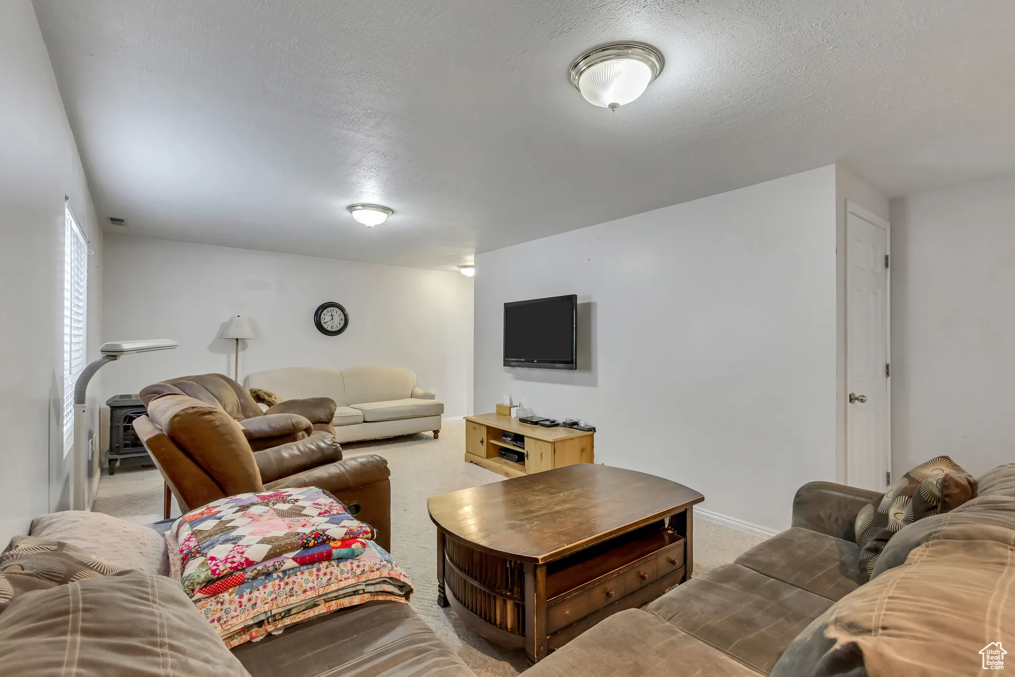 Basement living area