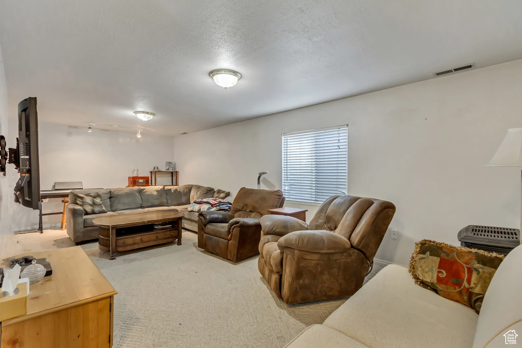 Basement living room