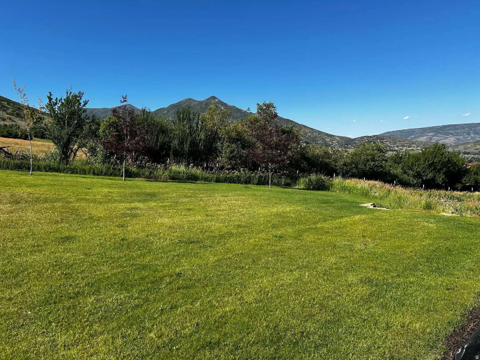 Expansive green lawn with mountain backdrop