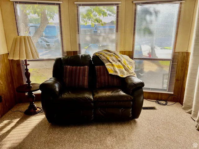 Living area featuring carpet floors and wooden walls