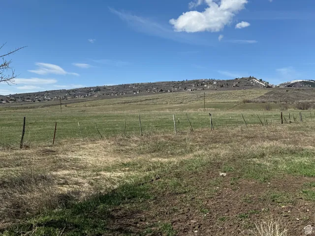 Backyard view to south west