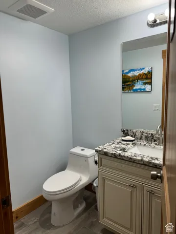 Half bathroom with toilet, wood finished floors, a textured ceiling, and vanity