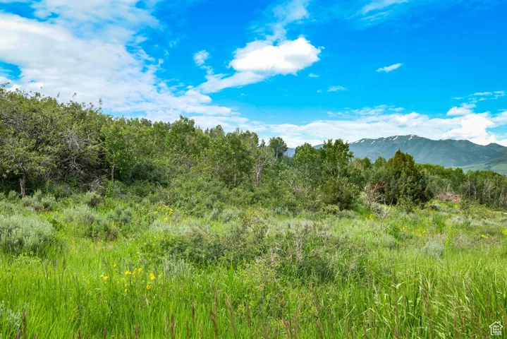 Mountain view with flat terrain facing south perfect for building.