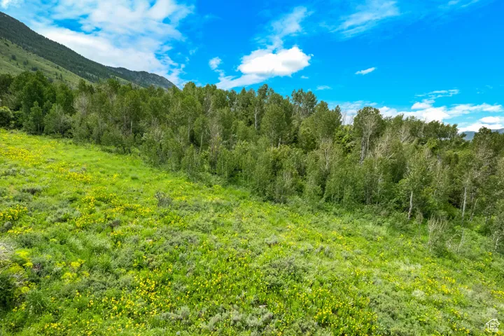 View of landscape featuring a mountain view